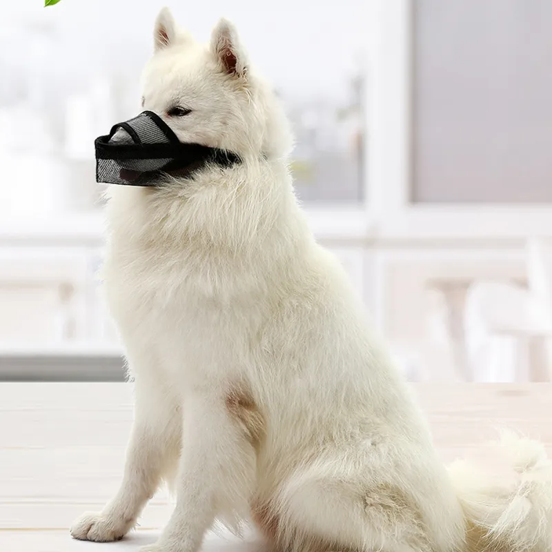 Maulkorb Aus Nylon Für Kleine/mittelgroße Hunde – Atmungsaktives Air-Mesh, Trinkbar, Verstellbar