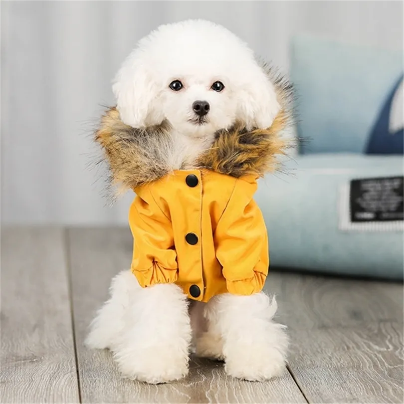 Roupas de cão de inverno para cães pequenos colar de pele de luxo casaco de cachorro com capuz warm à prova de ventos impermeável animal de estimação acolchoado parka chihuahua yorkies 210401