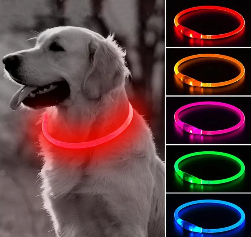 Collares para perros con Flash LED, collar iluminado para cachorros, collar brillante para mascotas pequeñas, medianas y grandes, recargable por USB, cortable