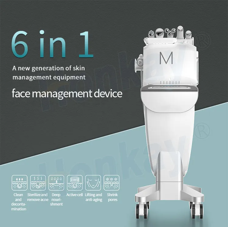 Kostenlose Nadel-Mesotherapie Dermabrasion Hautpeeling Gesichtsschönheitsmaschine Mikrodermabrasion Ultraschall EMS Bipolor RF Facelifting und Straffung M6-Modell zum Verkauf