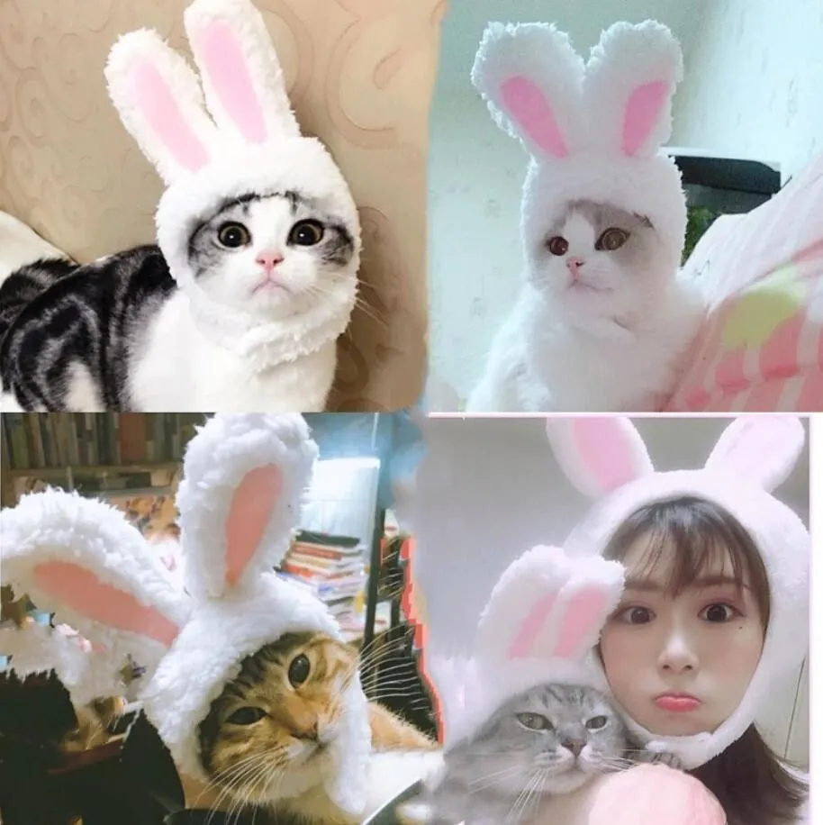 Komik sevimli evcil hayvan kedi kapak kostüm cosplay aksesuarları tavşan kulaklar şapka kış sıcak kedi yavrusu chihuahua şapka fotoğrafı sahne 4 renk