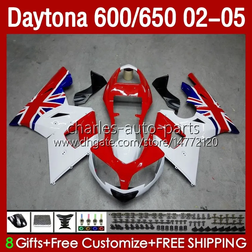 Blue Flag Daytona 650 02-05カウリング104HC.12 2005 2005 2005 Bodys Daytona 600 02 03 03 03 03 04 05 05 Full Fairings