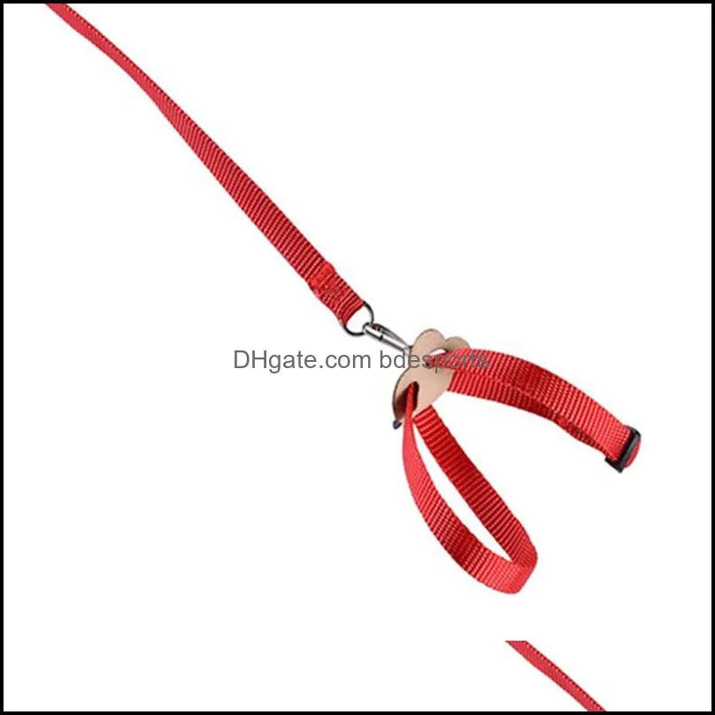 Pet Parrot Traction Strap Pet Anti-bite Training Rope Outdoor Rope Pet Leash Adjustable Bird Harness For Hamster Lizard