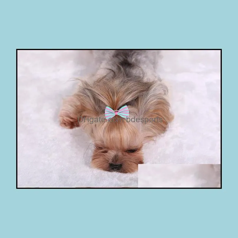 Dog Hair Bows Clip Pet Cat Puppy Grooming Striped Bowls For Hair Accessories Designer 5 Colors MiX HH7-1262