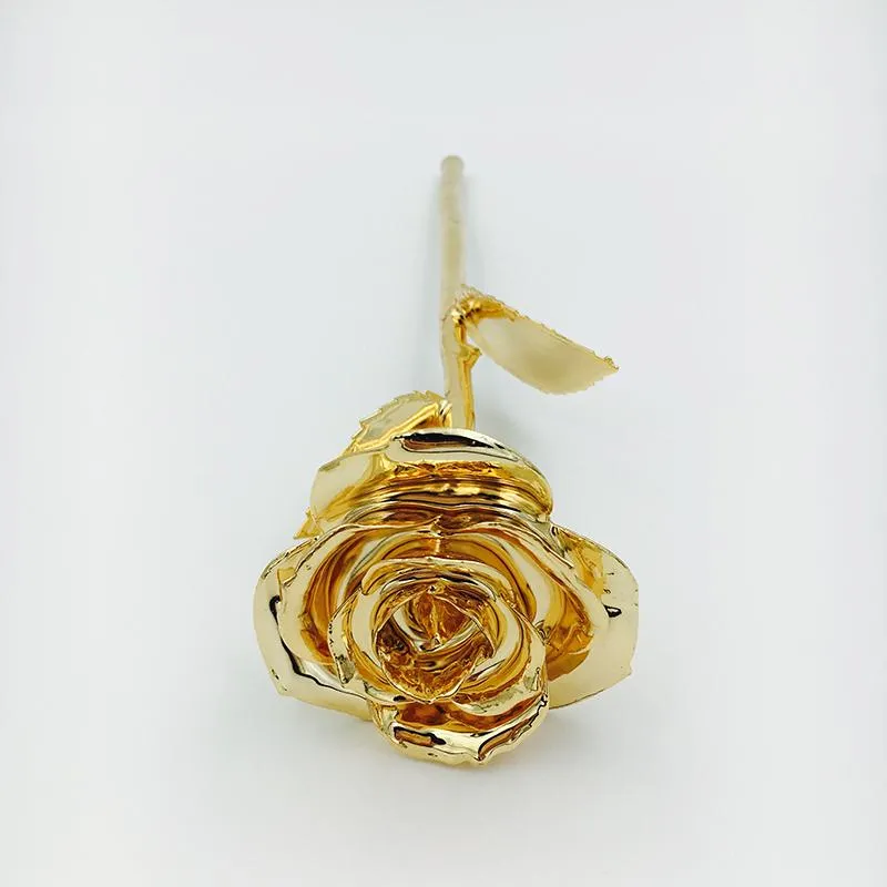 Fiori decorativi GATHONS REAL NATURA ROSA 24K GOLD GOLD INDUCED Fiore artificiale con scatola regalo rosso per amante