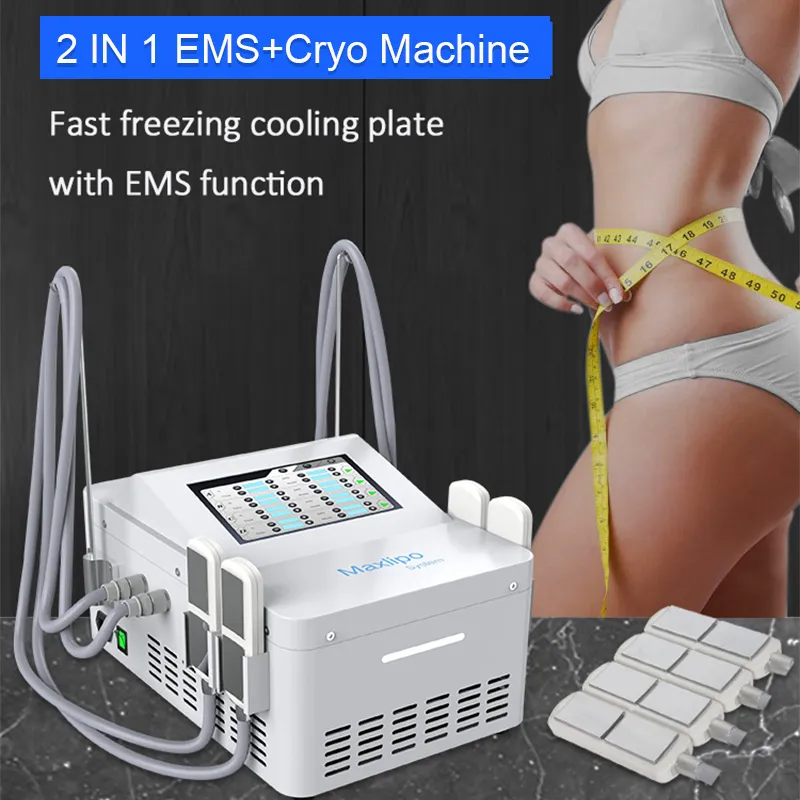 2 IN 1 criolipolisi macchina per crioterapia ems 4 piastre possono lavorare insieme apparecchiature di bellezza per la perdita di peso per il congelamento dei grassi
