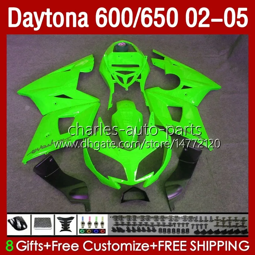 OEM-Karosserie für Daytona 650 600 CC 600CC 650CC Daytona600 02 03 04 05 Karosserie 132Nr.164 Daytona 600 2002 2003 2004 2005 Daytona650 2002–2005 ABS-Verkleidungsset Hellgrün