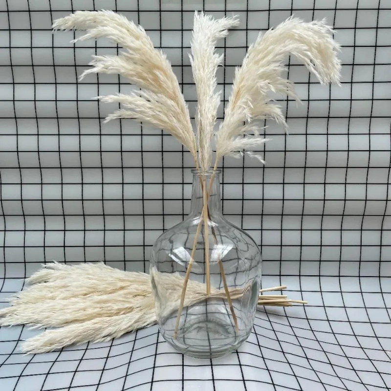 Decoratieve bloemen kransen stengels witte kleur gedroogd pampas gras bruiloft gebruik bloem christmal cadeau huis decoratie herfst decoratief