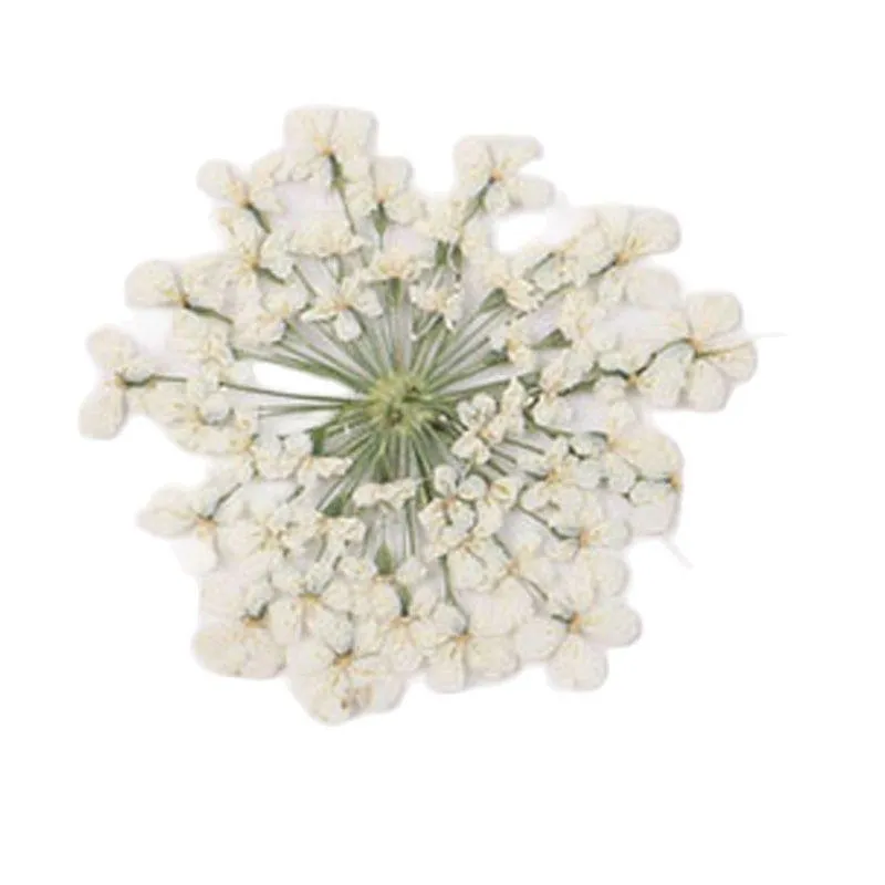 装飾的な花の花輪白いレース /雪のミノア爪の装飾用の人工除去無料出荷1ロット / 120pcsdecorative