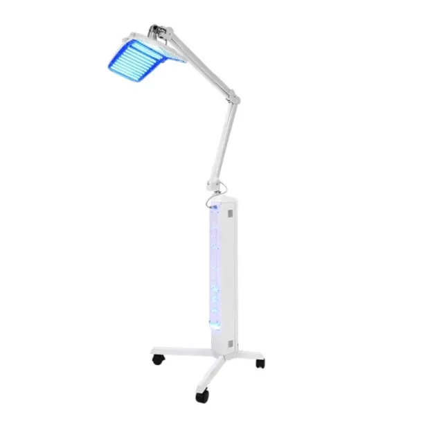 Bio Light PDT Dispositivo per la terapia della luce facciale LED per la rimozione delle rughe per lo sbiancamento della pelle