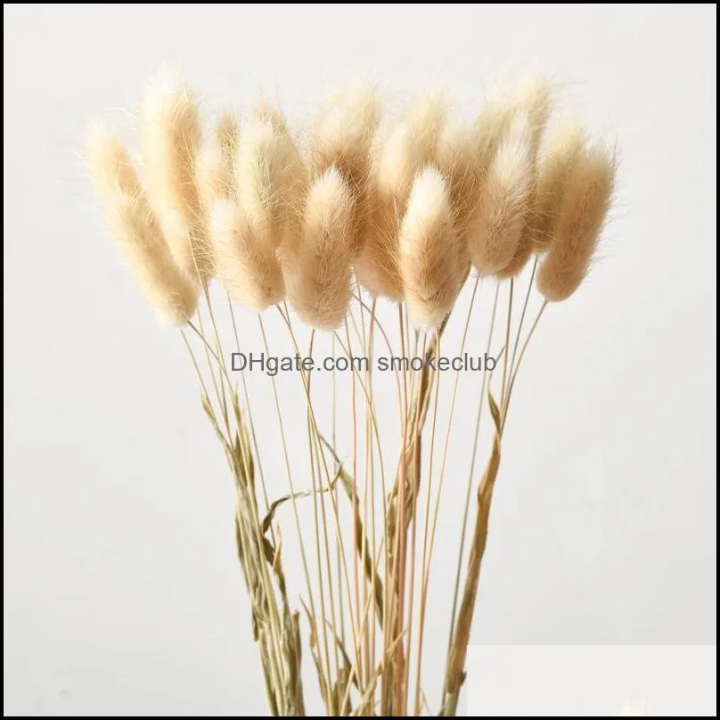 Decorative Flowers & Wreaths 30PCS/set Natural Dried Bouqet Arrangement In Vase `s Tail Grass For Decoration DIY Wedding Home Decor
