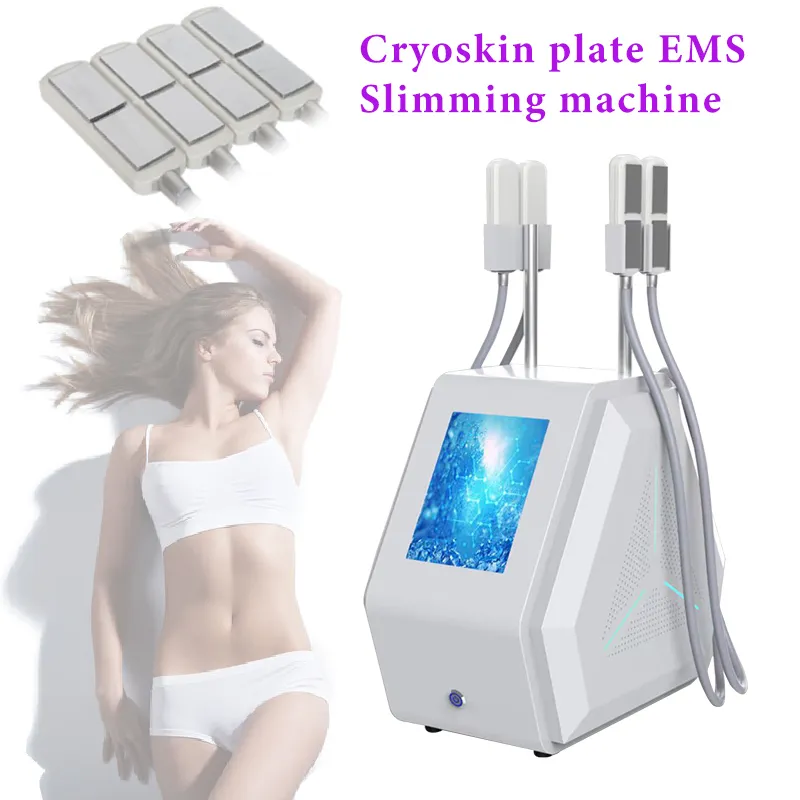 Multifunktion Cryo Lipo Pads Laser 4 Mode EMS Easy Fat Loss Slimming Machine Massage Cryo Equipment