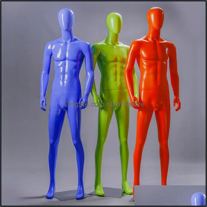 Modo coloref maschio mannequin fl body uomo modello stile per la consegna di goccia di visualizzazione 2021 imballaggio dei monili JB6QH
