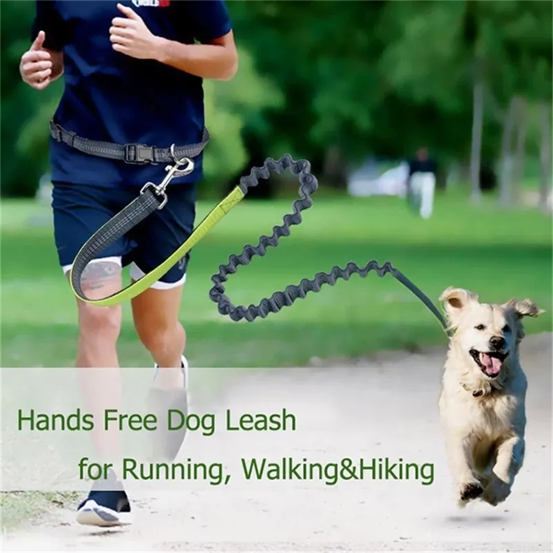 Correa para caminar para perros Manos libres Cintura elástica Es Correr Jogging Collar de plomo Ajustable Nylon Reflectante LJ201111