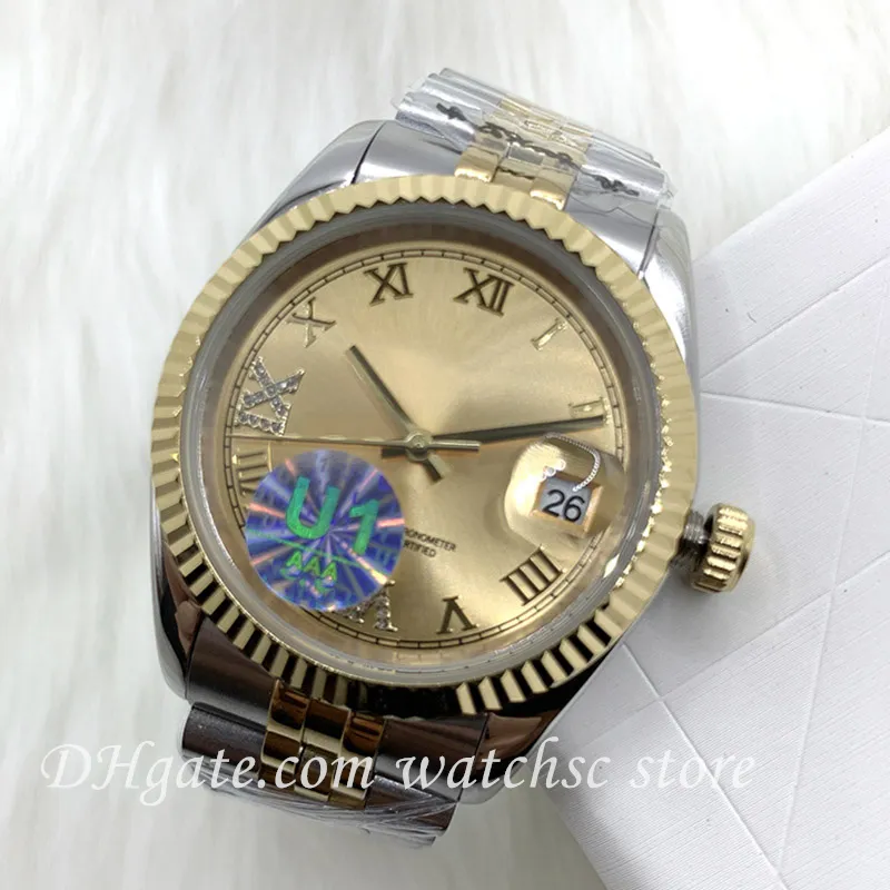 Watchsc Automatic Mechanical Watch Classic 41mm 36mm 31mm 28mm Mens