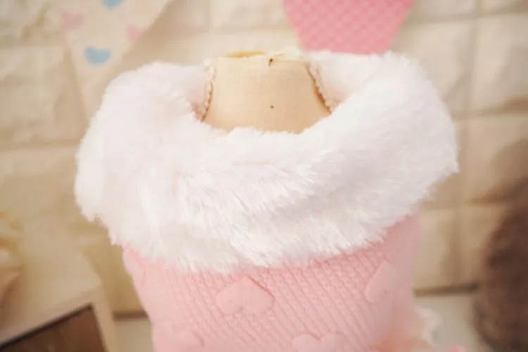 Small Dog Clothes (4)