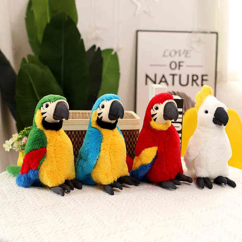 CM Reallife Parrot Kuş Peluş Oyuncaklar Sevimli Simülasyon Hugs Bebek Ev Araba Bahçe Dekoru Hediye Çocuklar İçin Yetişkinler J220704