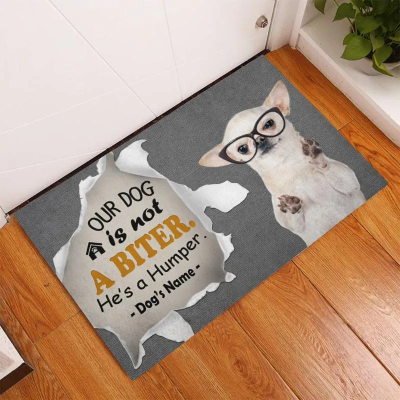 Carpets Chihuahua Our Dog Is Not A Biter Doormat Decor 3D Print Absorbent Non-Slip Flannel Carpet For Bedroom BathroomCarpets