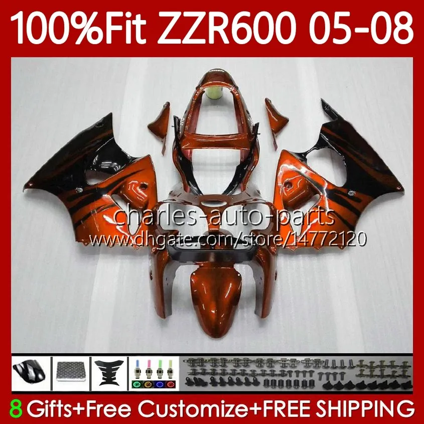 Injection Mold Bodywork For KAWASAKI NINJA ZZR600 600CC 2005 2006 2007 2008 Orange&flames Body 134No.113 100% Fit ZZR-600 600 CC 2005-08 ZZR 600 05 06 07 08 OEM Fairing Kit