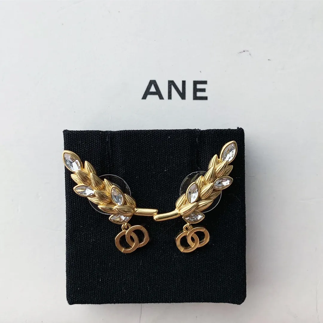 Luxury Brand Designer Stud Earrings Famous Women Crystal Rhinestone Pearl Earrings Wedding Party Jewelry4