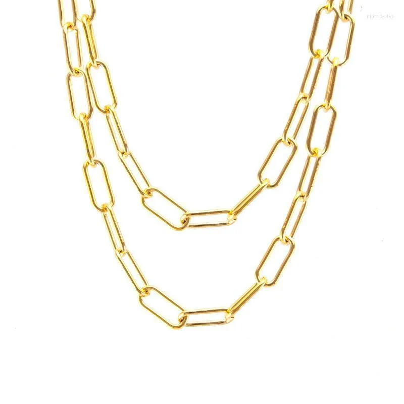 Zilveren kleur/gouden kleur roestvrijstalen ketting voor sieraden maken slot door meter groothandel 1m ketens morr22