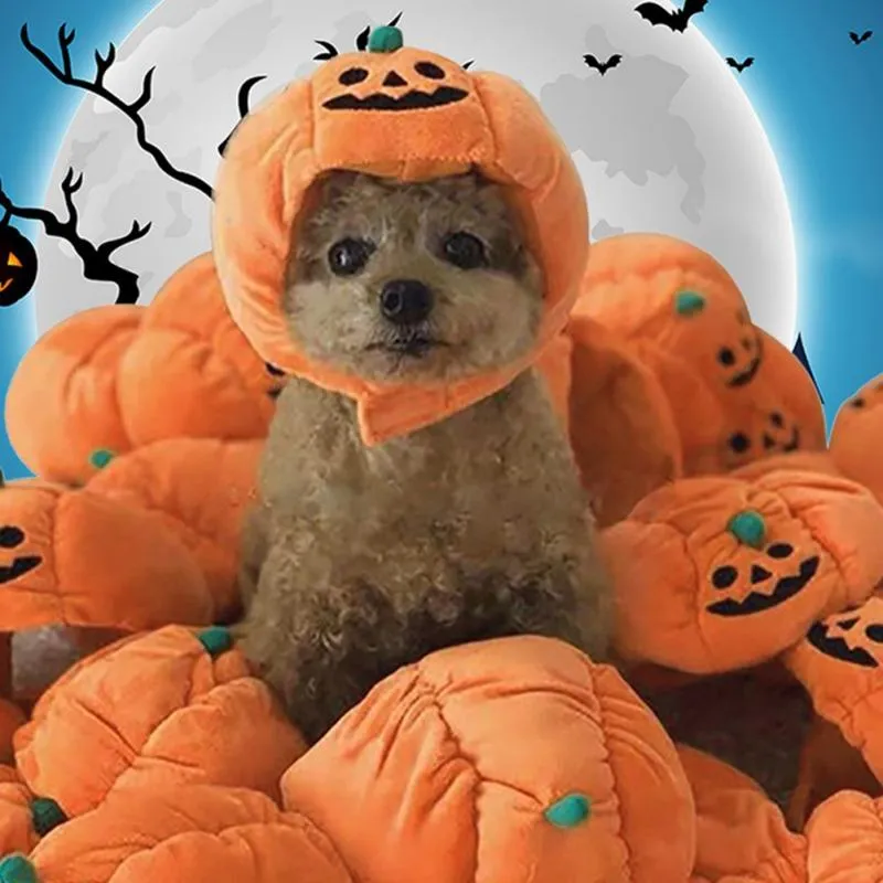 Vêtements pour chiens mignon animaux de compagnie Halloween Festival Dress Up Pumpkin Hat Accessories Caps pour chiens Chapeaux Petaux Funny Costume cosplay