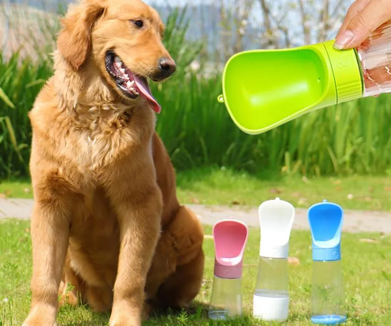Petzy Portable Water Bottle & Feeder 1L Capacity For Dogs & Cats