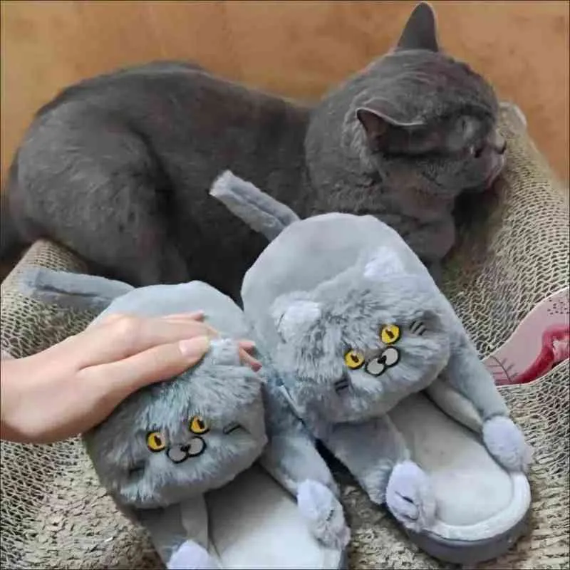 Ciabatte gatto sale