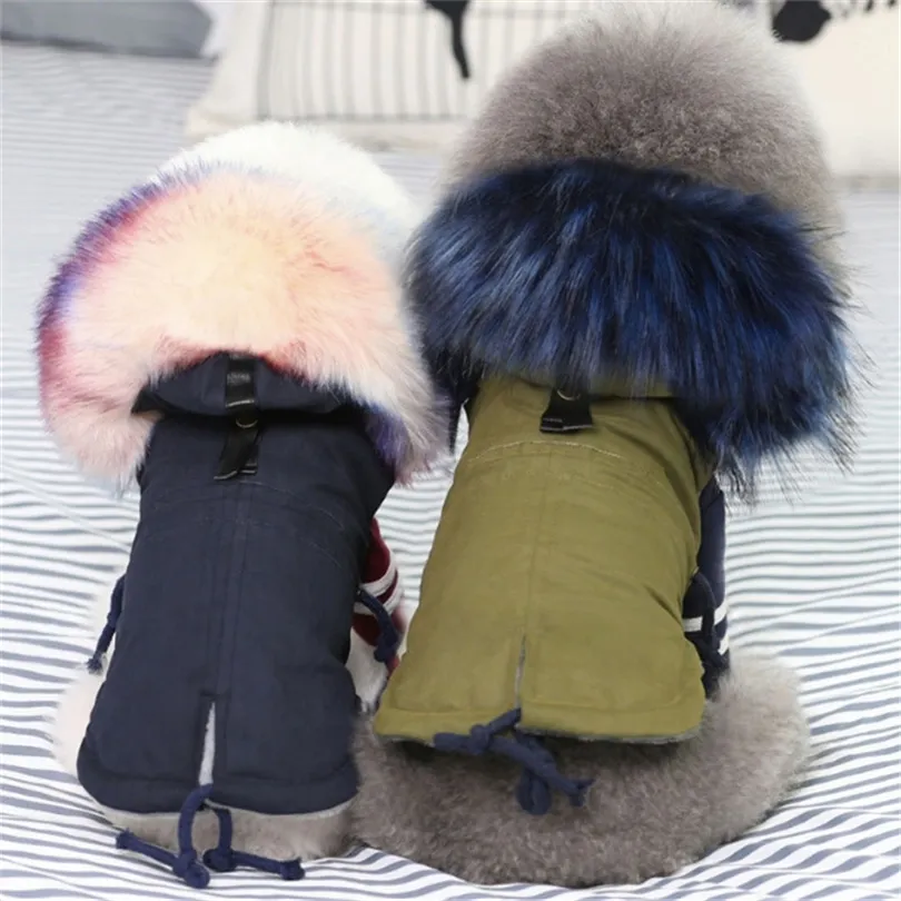 Glorious Kek Winter Dog Vêtements Luxury Faux Fur Collar Mabinet de chien pour petit chien Tarme de PET à vent chaud enleme