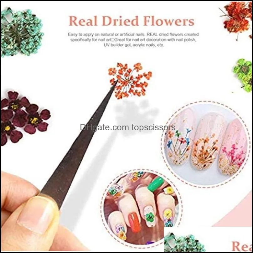 nail dried flowers 3d nail art sticker for tips manicure decor mixed accessories nail flower decorators for salon