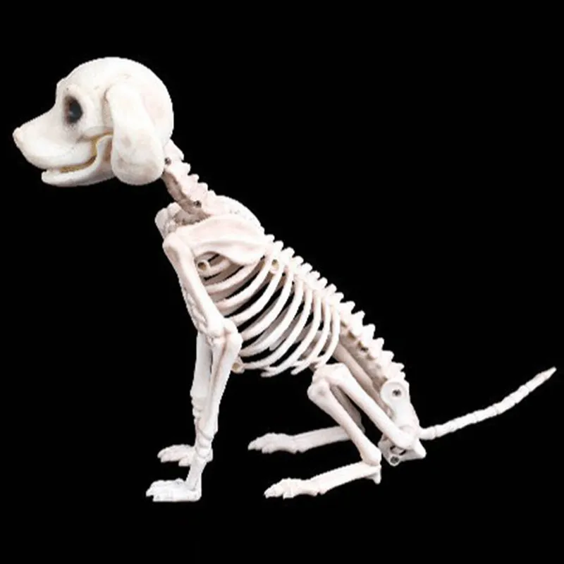 Scheletro di Halloween Cane Prop Ossa di animali Negozio di decorazioni per feste Horror Teschio Puntelli Y201006