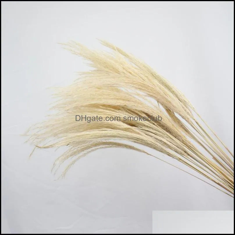 Decorative Flowers & Wreaths Natural Dried Pampas Grass Decor Real Artificial Bouquet For Wedding Venue Layout Elegant Indoor Home