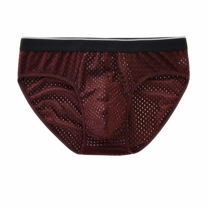 Caleçon Homme Glace Soie Maille Respirant Confortable Boxer Culotte Triangler Mémoires