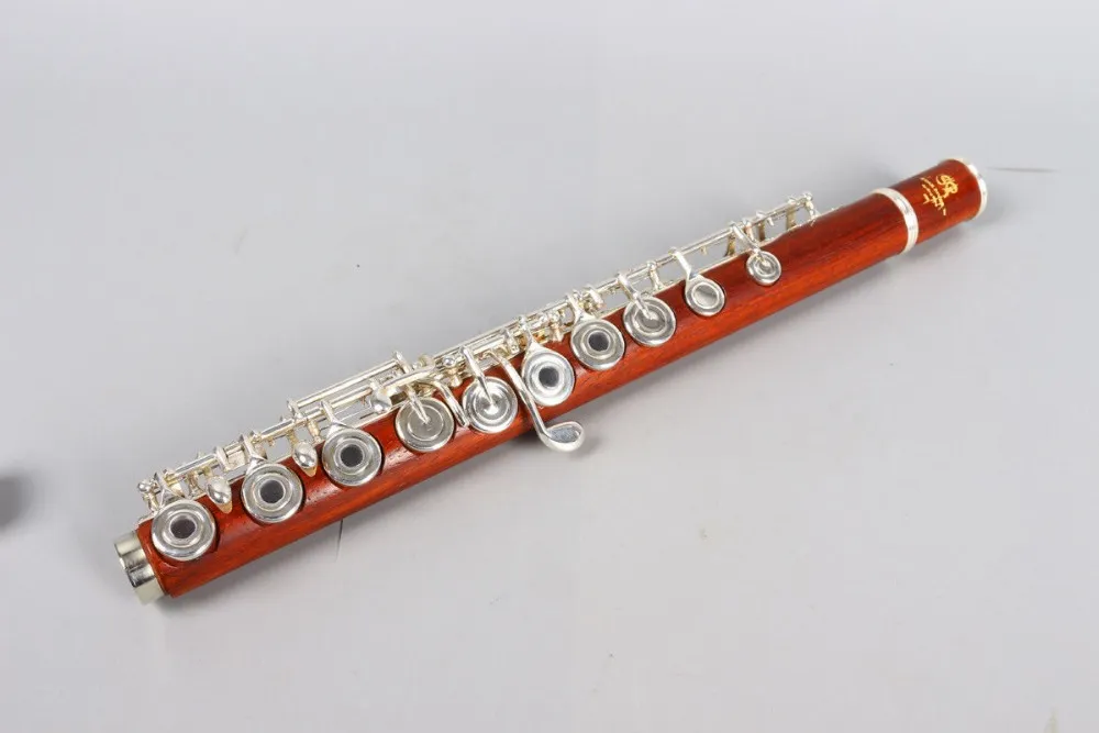 Новая флейта 17 отверстия открытая серебряная серебряная ключ E Key B Foot Foot Professional Body Body