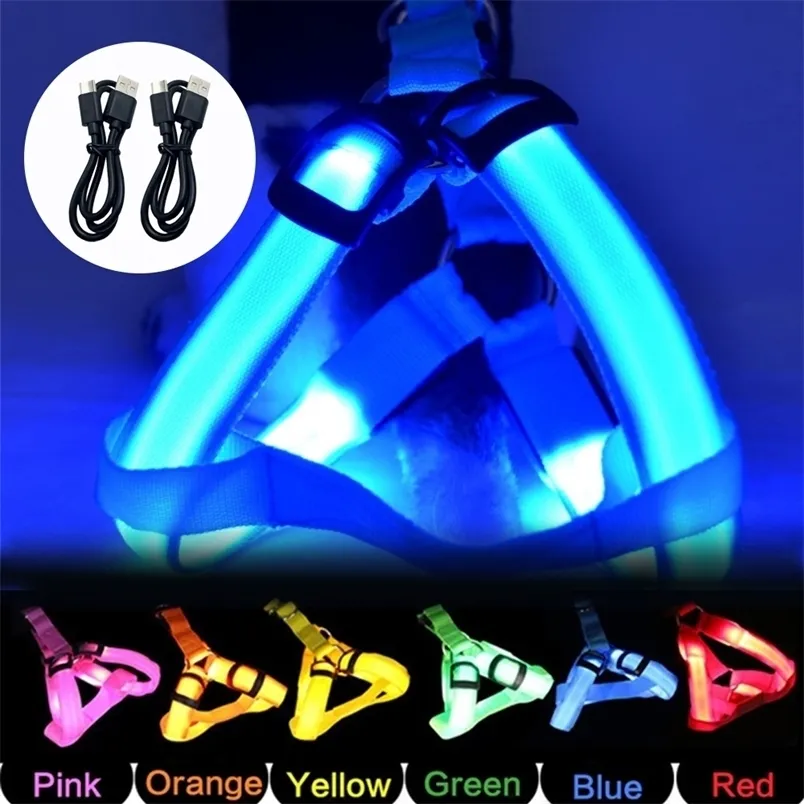 USB Charging Led Flashing Pet Dog Light Leash ntiLostAvoid Car Accident Luminoso Perros Safety Chest Straps Luminous 220610