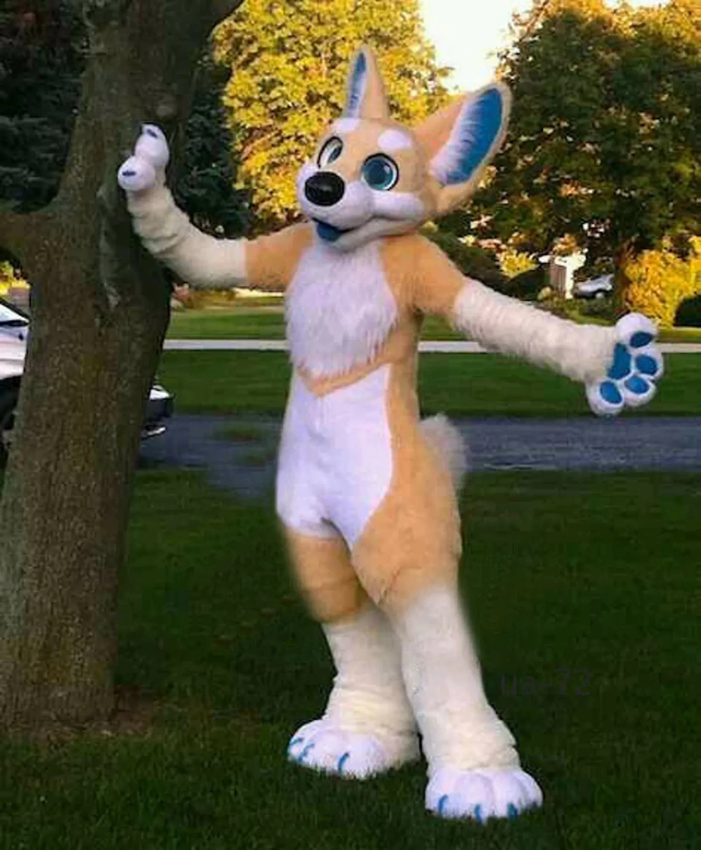Husky Fox Mid-length Fur One Mascot Costume Walking Halloween Suit Role-playing