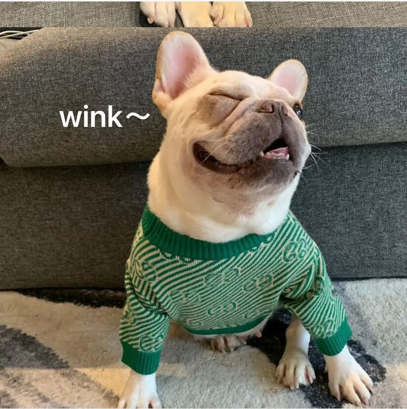 Primavera Autunno Abbigliamento Cani Lettera Cuccioli Animali
