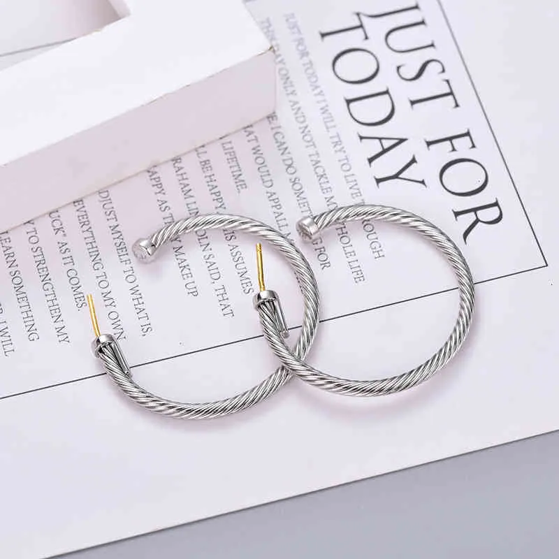 Gold Earring Hoops Silver Dy Jewelry Women Earrings Designers Stud Jewelrys White Twisted Thread Fashion Versatile Plated Needle Twist Popular Accessories