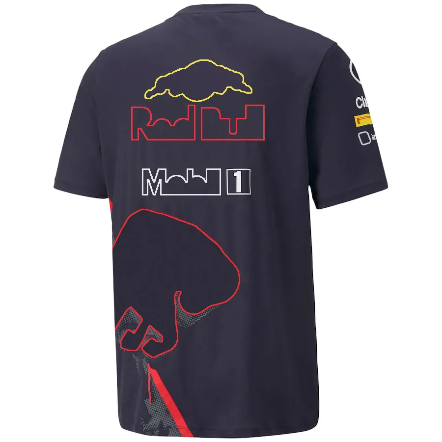 Camisetas Aston Martin Jersey Amf1 2023 Oficial Para Hombre Fernando Alonso  Camiseta Fórmula 1 Traje De Carreras F1 Camisa Moto Motorcyc Camisetas De  11,36 €