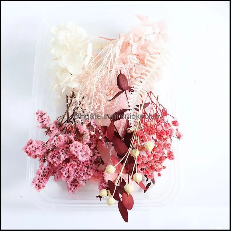 Christmas Holiday Banquet DIY Preserved Flower Material Pack Hydrangea Rabbit Dried Flowers Fan Aromatherapy Floating Flower Combination Packaging 5pcs