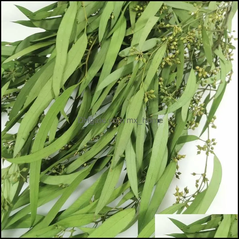 Decorative Flowers & Wreaths 100g/50-60cm Nature Preserved Eucalyptus Millet Leaf, Easter Decorations For Wedding Use Home Decoration Dry
