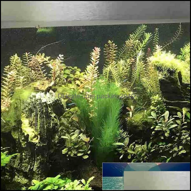 Aquarium Plant Feather Grass Provides A Beautiful Environment for Aquatic Animals, for Fish Tank, 3 Pieces Per Pack Factory price expert design Quality Latest