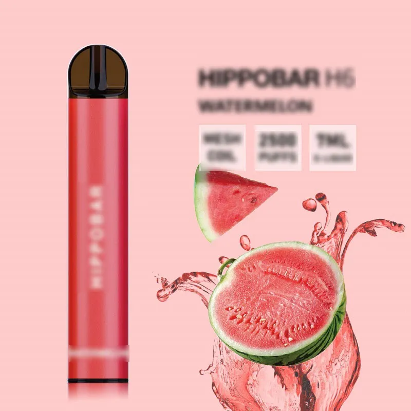 Electronic Cigarette 2022 New 2500 Puffs Disposable Vape With Different