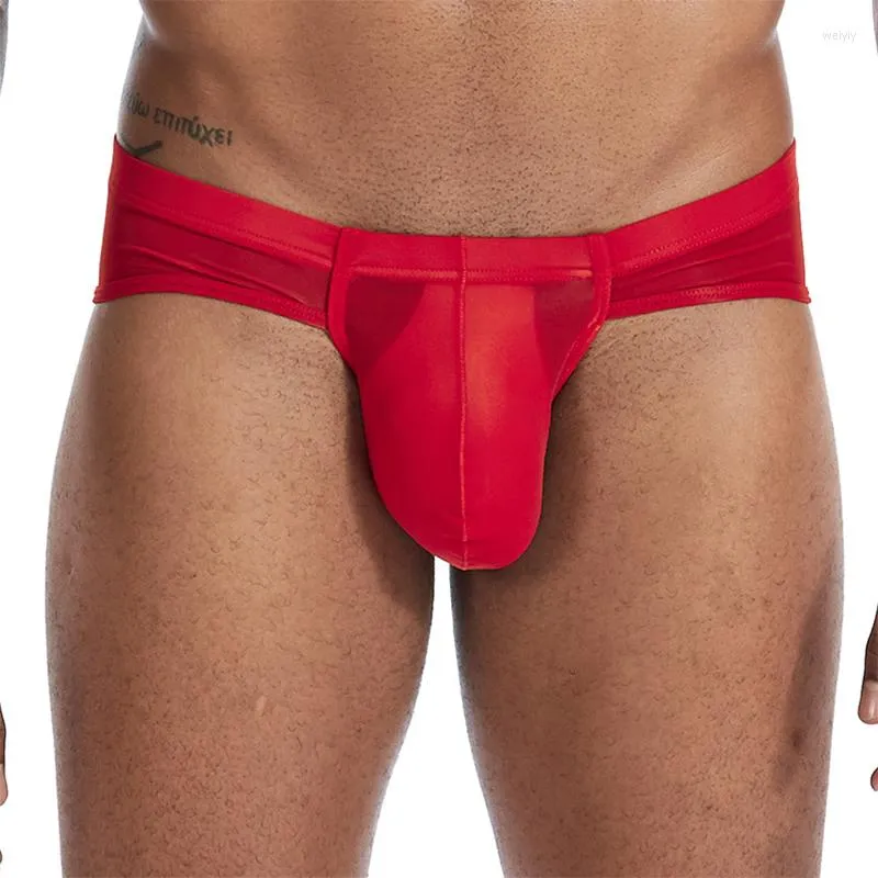 Ondergoed heren luxe onderbroek sexy heren ultra dunne ijs zijden briefs penis big pouch low rise slips hombre erotisch slipje cuecaunderpants laden kecks thong 6j6p