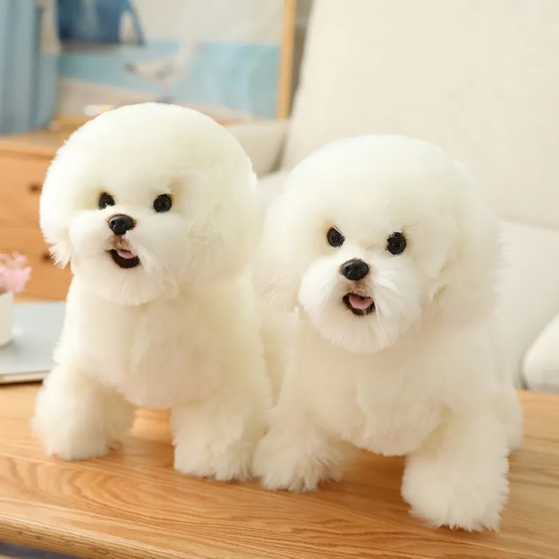 لطيف و واقعي bichon فرايز أفخم لعبة محاكاة صغيرة الكلب الحيوان دمية فتاة المنزل الديكور الأطفال الإبداعية exqui هدية عيد الميلاد W220402