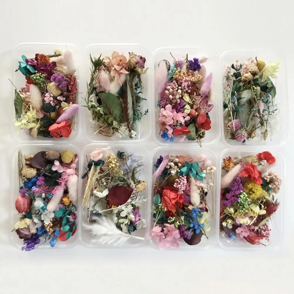 1 Box natürliche Trockenblumen für Kunstharzschmuck, Trockenpflanzen, gepresste Blumen, Herstellung von Bastel- und DIY-Zubehör