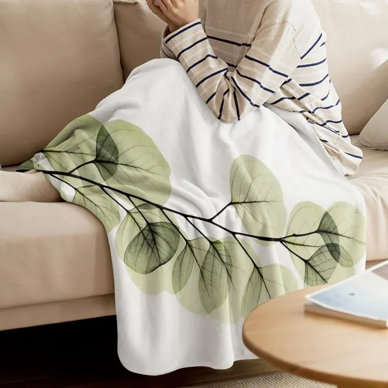 Jcpenney Sofa Throws Baci Living Room