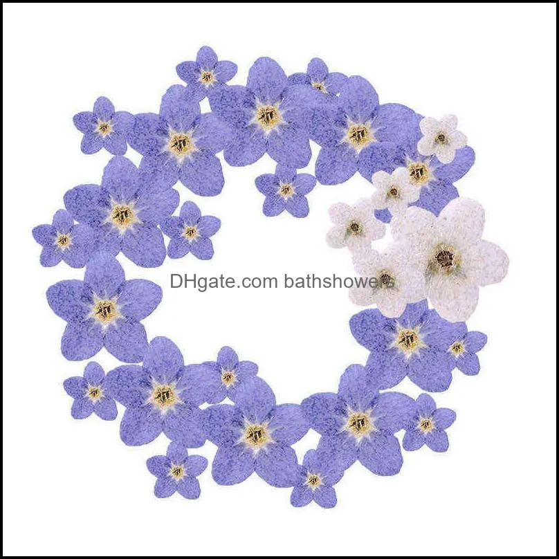 120pcs pressed dried natural mini blue myosotis sylvatica forgetmenot flower plant herbarium for jewelry phone case nailart diy 211224