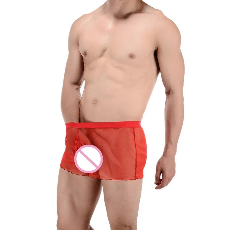 Underbyxor mäns sexiga ultratunna underkläder andas transparent tyll gay män smidiga trosmens boxare trosor shortsunderbyxor