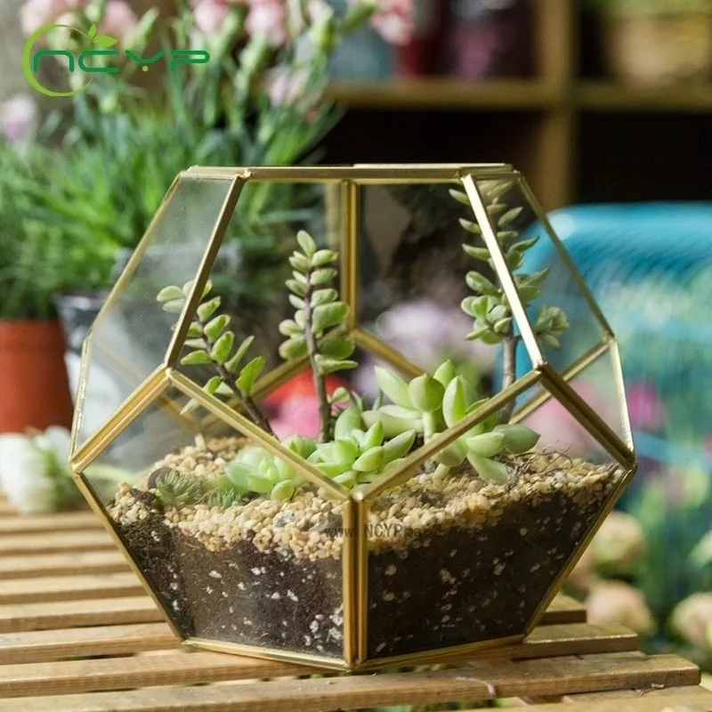 NCYP Modern Glass Terrarium Flower Pot Gold Geometric Bonsai Pots Plant Planter Desktop Display Pot Y200709